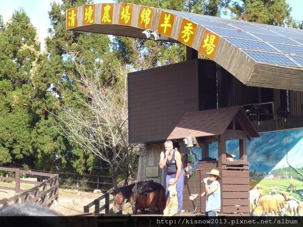 清境農場：青青草原的綿羊秀與高空觀景步道的山巒美景-秋高氣爽來一趟清境農場小旅行