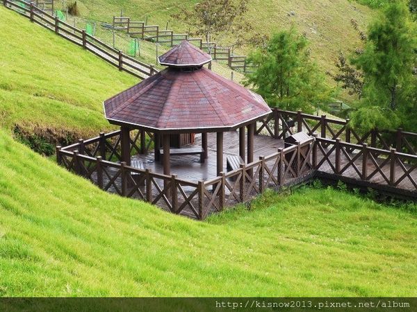 清境農場：青青草原的綿羊秀與高空觀景步道的山巒美景-秋高氣爽來一趟清境農場小旅行