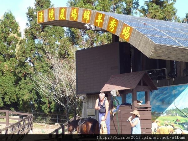 清境農場：青青草原的綿羊秀與高空觀景步道的山巒美景-秋高氣爽來一趟清境農場小旅行