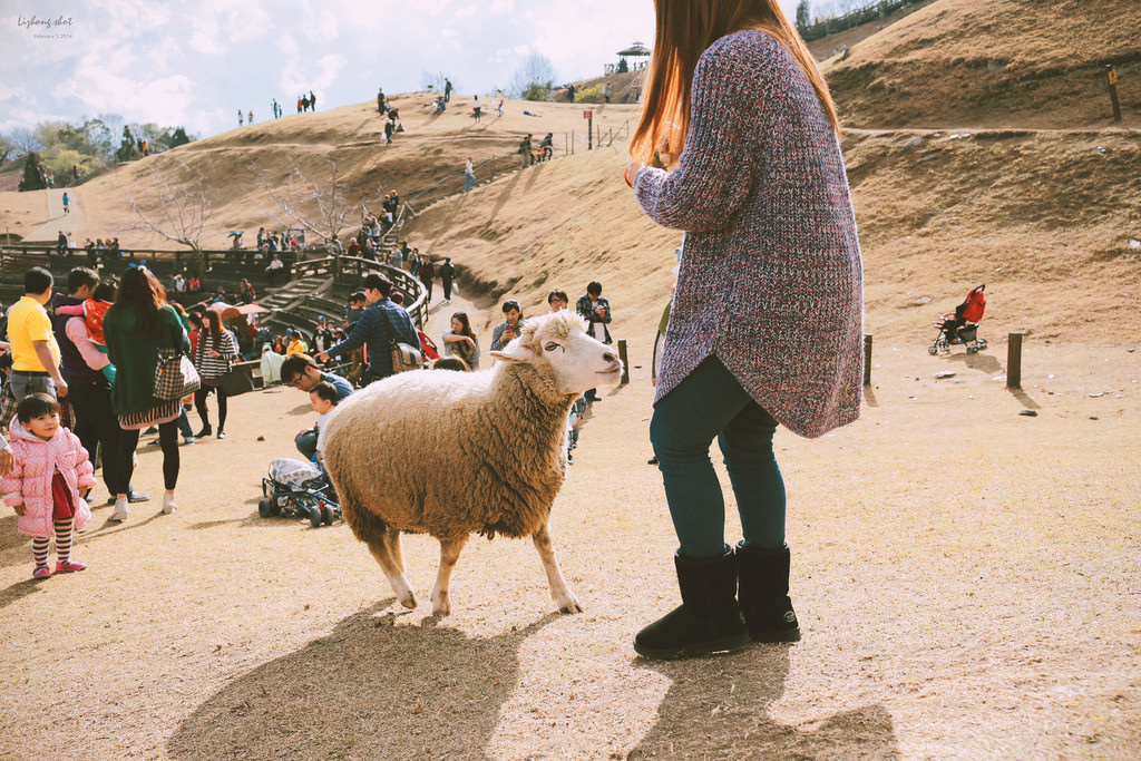 清境農場的暴走紀實 清境農場的暴走紀實