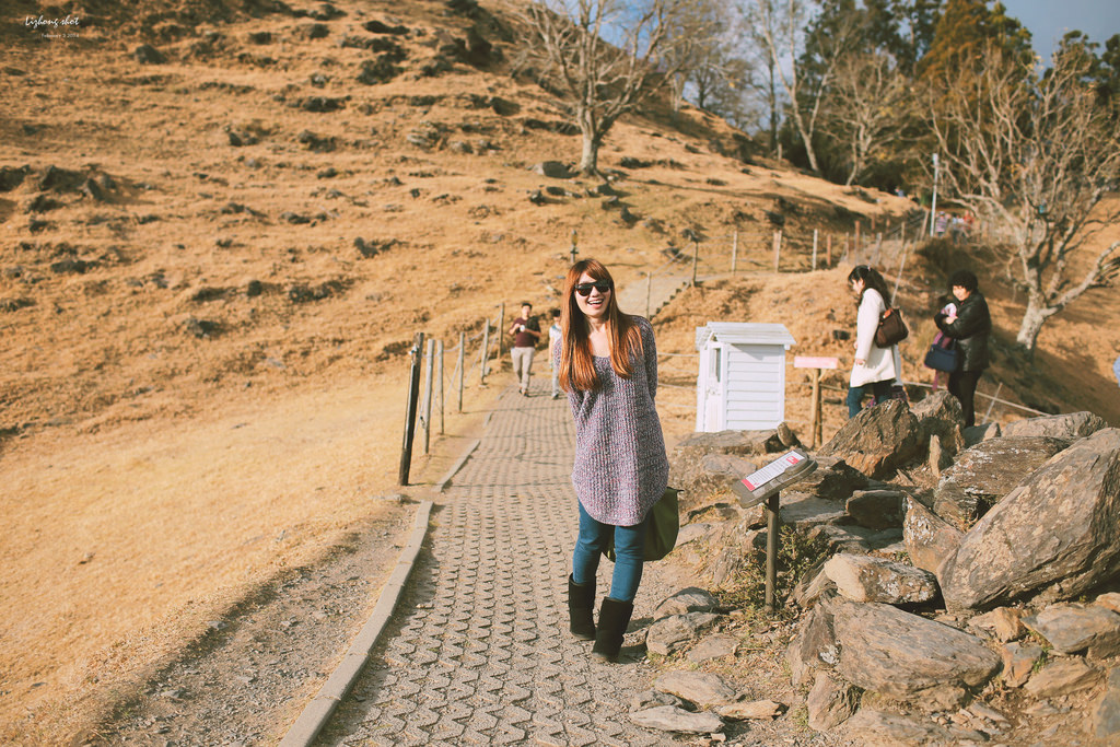 清境農場的暴走紀實 清境農場的暴走紀實