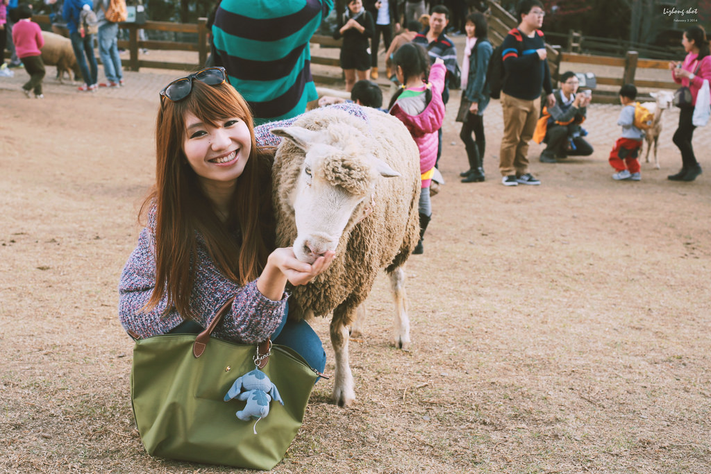 清境農場的暴走紀實 清境農場的暴走紀實