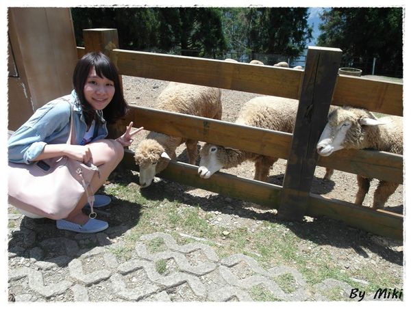 SAM_1790.JPG SAM_1790.JPG