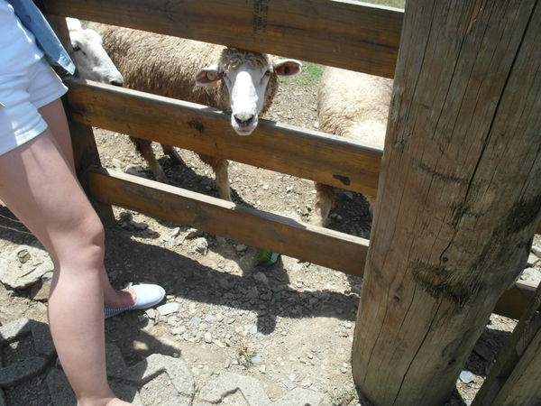 SAM_1797.JPG SAM_1797.JPG