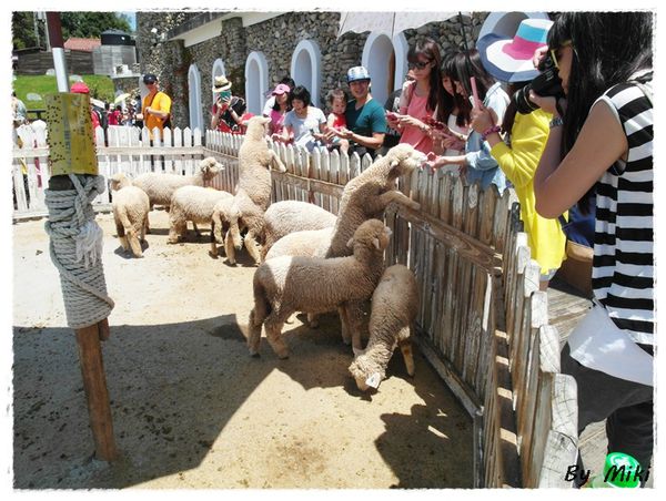 SAM_1740.JPG SAM_1740.JPG