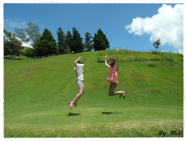 SAM_1764.JPG SAM_1764.JPG