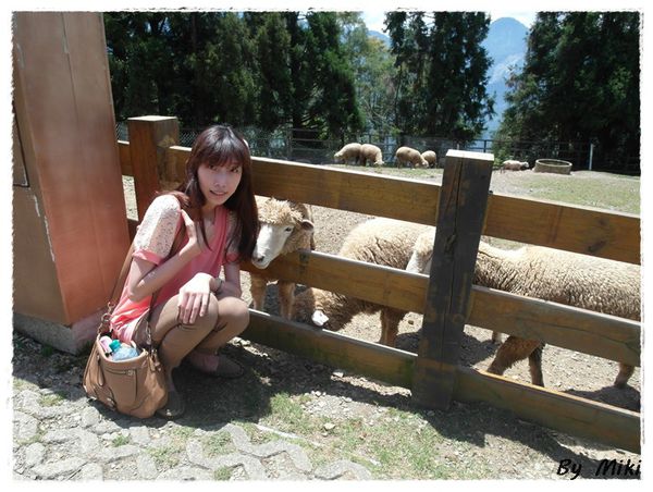 SAM_1791.JPG SAM_1791.JPG