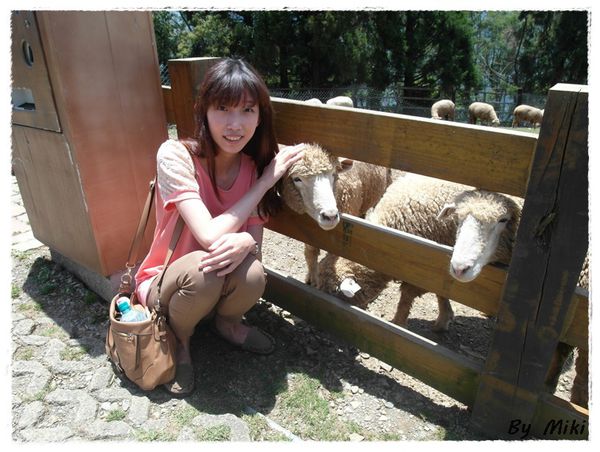 SAM_1792.JPG SAM_1792.JPG