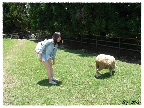 SAM_1787.JPG SAM_1787.JPG