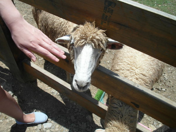 SAM_1796.JPG SAM_1796.JPG