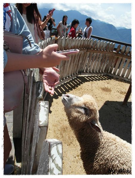 SAM_1743.JPG SAM_1743.JPG