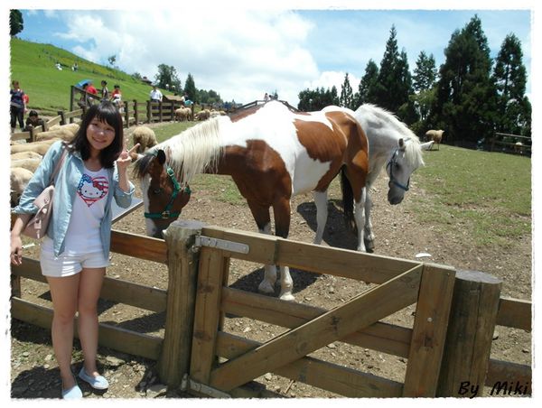 SAM_1805.JPG SAM_1805.JPG