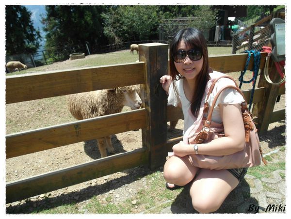 SAM_1793.JPG SAM_1793.JPG