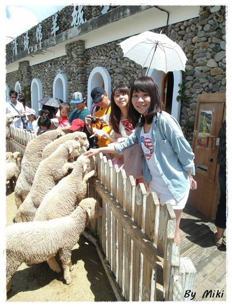 SAM_1738.JPG SAM_1738.JPG