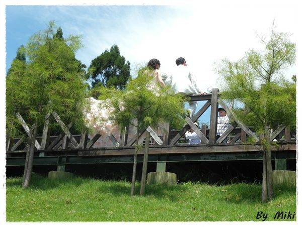 SAM_1746.JPG SAM_1746.JPG