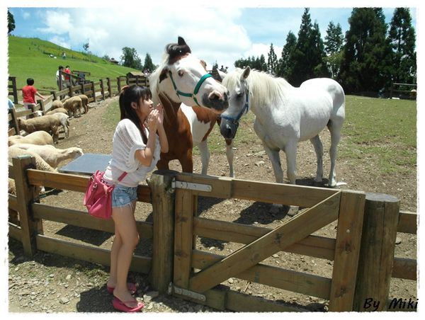 SAM_1806.JPG SAM_1806.JPG