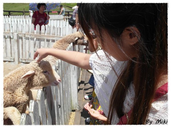 SAM_1733.JPG SAM_1733.JPG