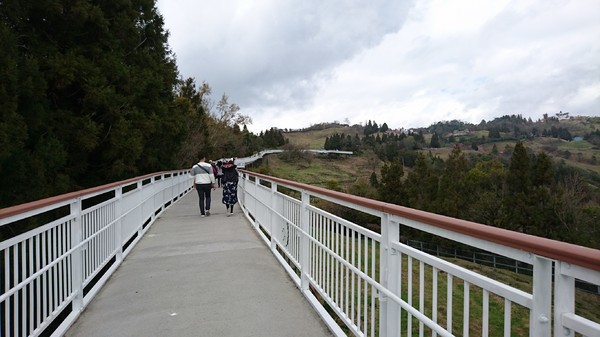 清境農場青青草原:南投~清境農場 青青草原+清境天空步道~親近大自然的美~餵食可愛羊咩咩~親子同遊好景點~
