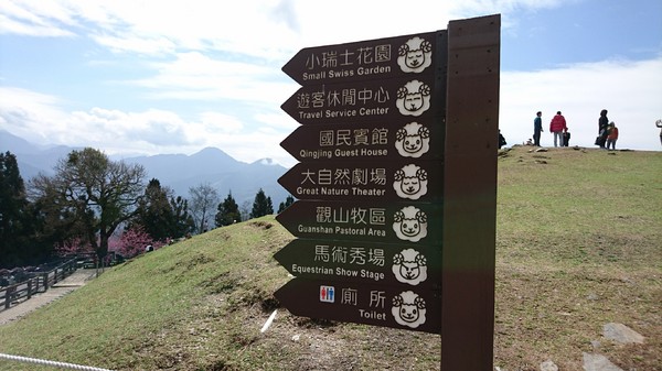 清境農場青青草原:南投~清境農場 青青草原+清境天空步道~親近大自然的美~餵食可愛羊咩咩~親子同遊好景點~