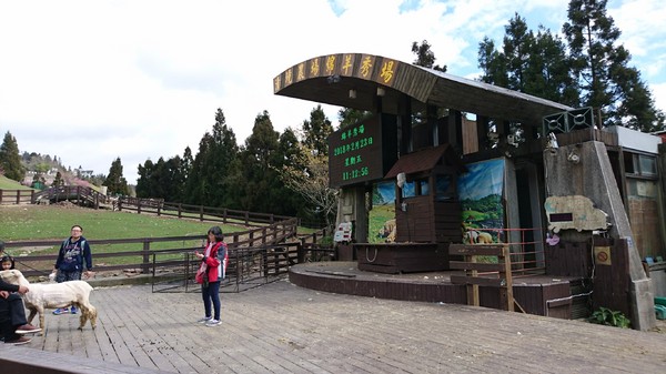 清境農場青青草原:南投~清境農場 青青草原+清境天空步道~親近大自然的美~餵食可愛羊咩咩~親子同遊好景點~