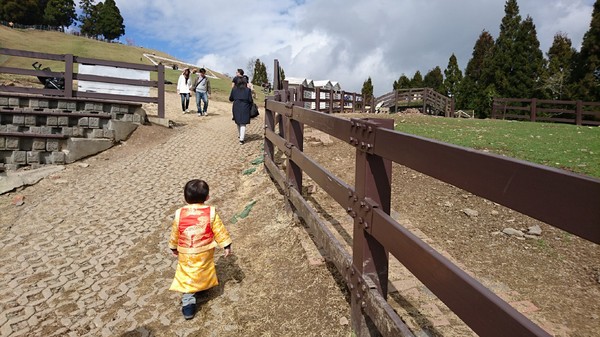 清境農場青青草原:南投~清境農場 青青草原+清境天空步道~親近大自然的美~餵食可愛羊咩咩~親子同遊好景點~