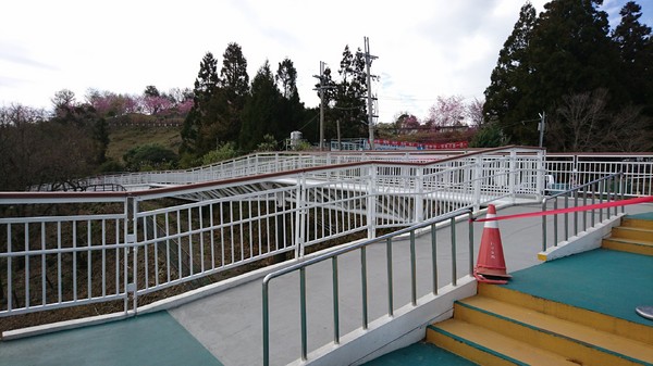 清境農場青青草原:南投~清境農場 青青草原+清境天空步道~親近大自然的美~餵食可愛羊咩咩~親子同遊好景點~