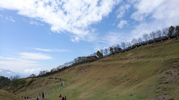清境農場青青草原:南投~清境農場 青青草原+清境天空步道~親近大自然的美~餵食可愛羊咩咩~親子同遊好景點~