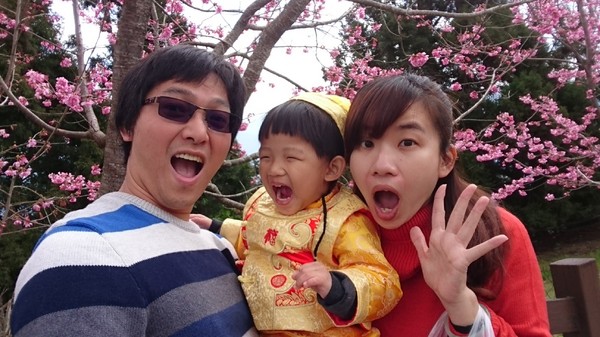 清境農場青青草原:南投~清境農場 青青草原+清境天空步道~親近大自然的美~餵食可愛羊咩咩~親子同遊好景點~