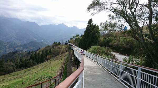清境農場青青草原:南投~清境農場 青青草原+清境天空步道~親近大自然的美~餵食可愛羊咩咩~親子同遊好景點~