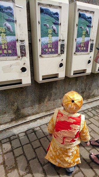 清境農場青青草原:南投~清境農場 青青草原+清境天空步道~親近大自然的美~餵食可愛羊咩咩~親子同遊好景點~