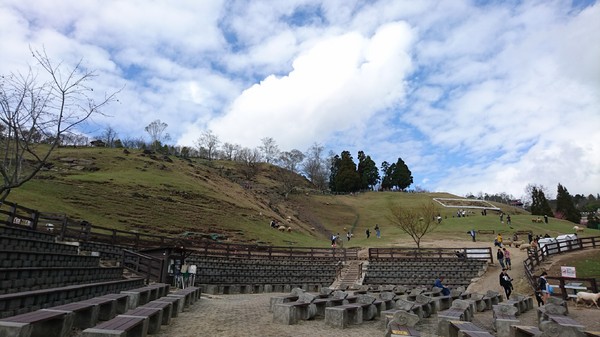 清境農場青青草原:南投~清境農場 青青草原+清境天空步道~親近大自然的美~餵食可愛羊咩咩~親子同遊好景點~
