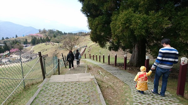 清境農場青青草原:南投~清境農場 青青草原+清境天空步道~親近大自然的美~餵食可愛羊咩咩~親子同遊好景點~
