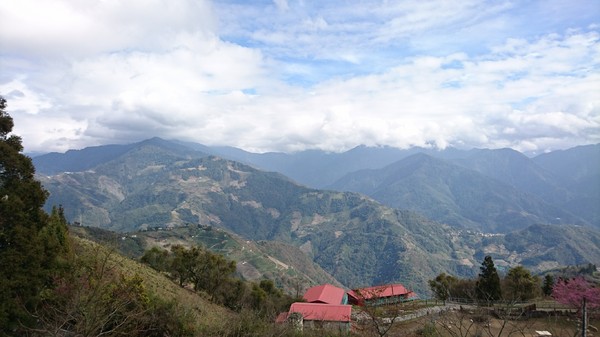 清境農場青青草原:南投~清境農場 青青草原+清境天空步道~親近大自然的美~餵食可愛羊咩咩~親子同遊好景點~