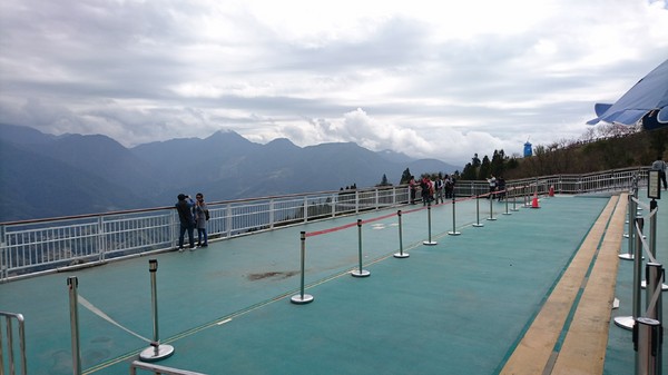 清境農場青青草原:南投~清境農場 青青草原+清境天空步道~親近大自然的美~餵食可愛羊咩咩~親子同遊好景點~