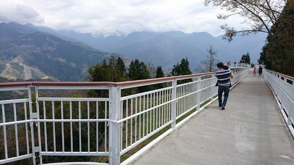 清境農場青青草原:南投~清境農場 青青草原+清境天空步道~親近大自然的美~餵食可愛羊咩咩~親子同遊好景點~