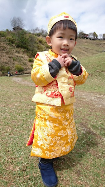 清境農場青青草原:南投~清境農場 青青草原+清境天空步道~親近大自然的美~餵食可愛羊咩咩~親子同遊好景點~