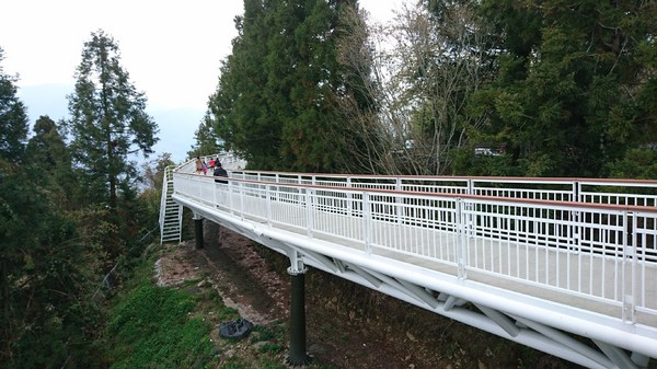 清境農場青青草原:南投~清境農場 青青草原+清境天空步道~親近大自然的美~餵食可愛羊咩咩~親子同遊好景點~