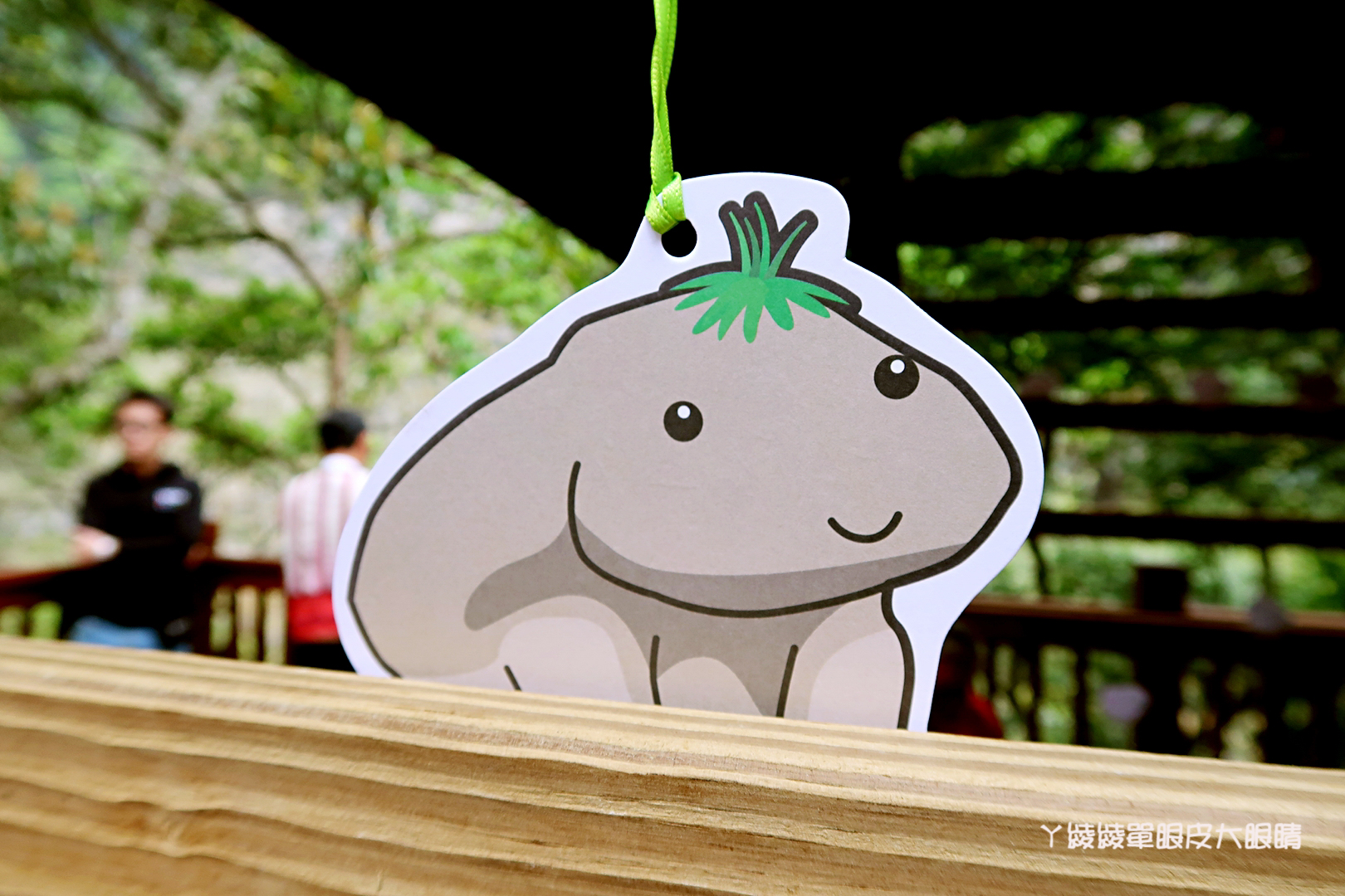 新竹尖石旅遊景點!青蛙石天空步道最新報導,門票|開放時間|地址|停車場資訊|交通方式|線上預約