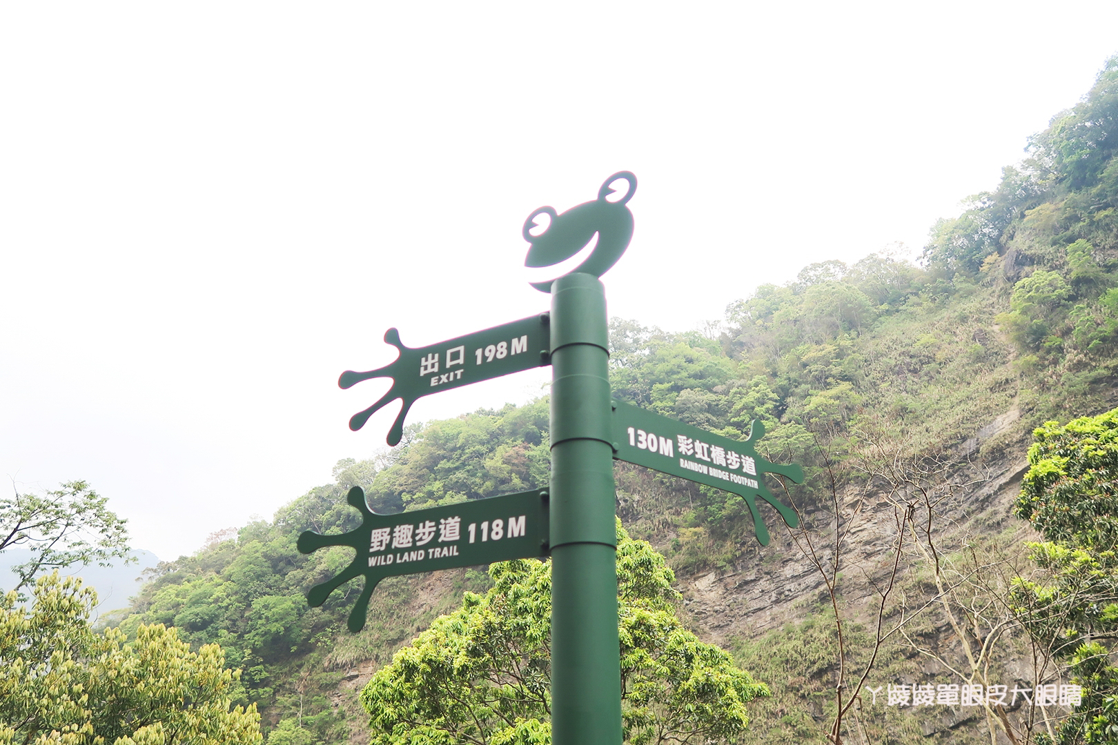 新竹尖石旅遊景點！青蛙石天空步道最新報導，門票｜開放時間｜地址｜停車場資訊｜交通方式｜線上預約