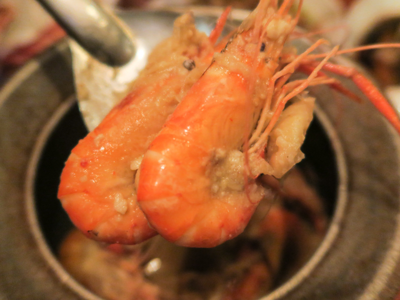 IMG_4580.jpg IMG_4580.jpg