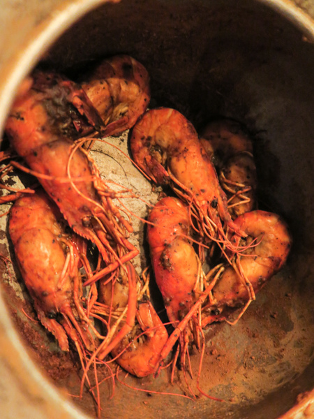 IMG_4590.jpg IMG_4590.jpg