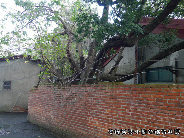 格式工廠P1160324.jpg 格式工廠P1160324.jpg