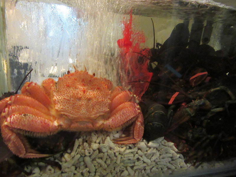 20170520_心月懷食料理 (230)