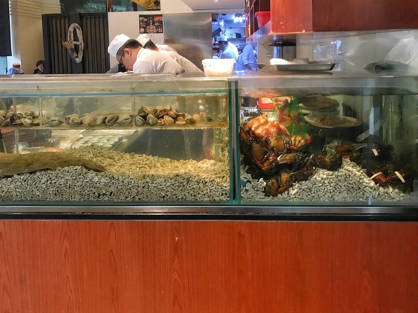 20190127 #2_190129_0003.jpg