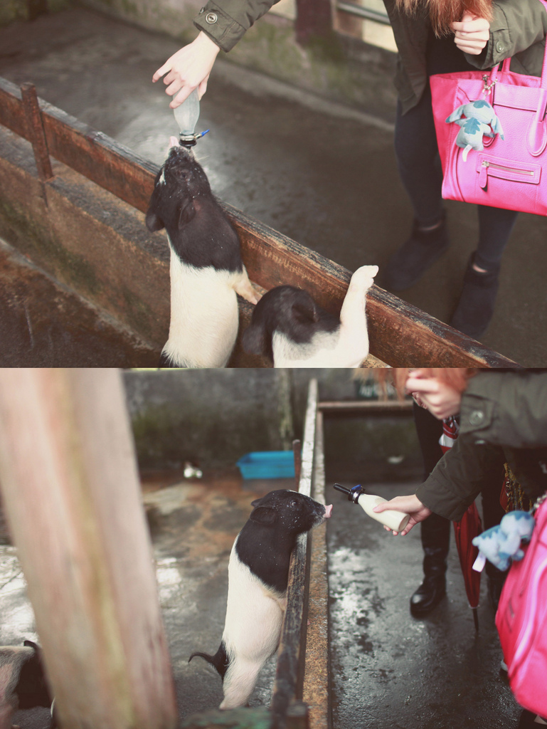 好自在宜蘭兩日！！全劇終(下)
