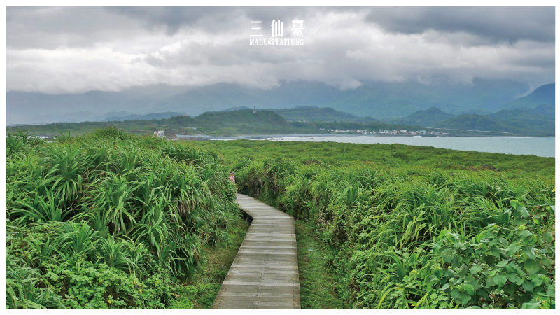 台東海線三仙台-13