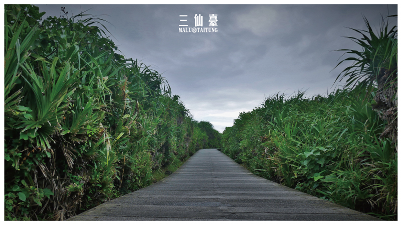 台東海線三仙台-12