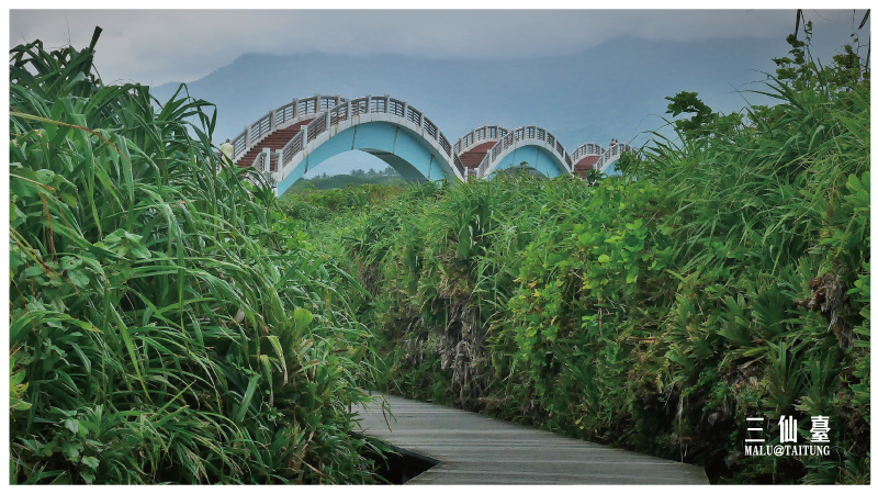 台東海線三仙台-15