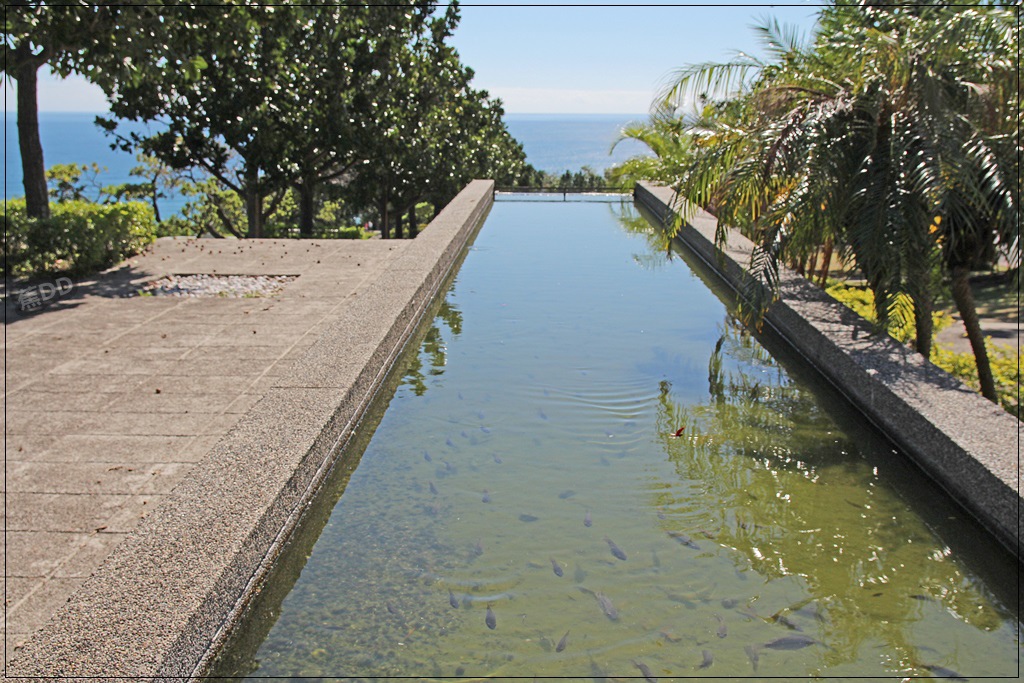 IMG_5055.JPG IMG_5055.JPG