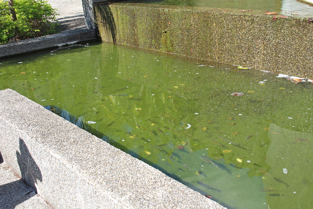 IMG_5054.JPG IMG_5054.JPG